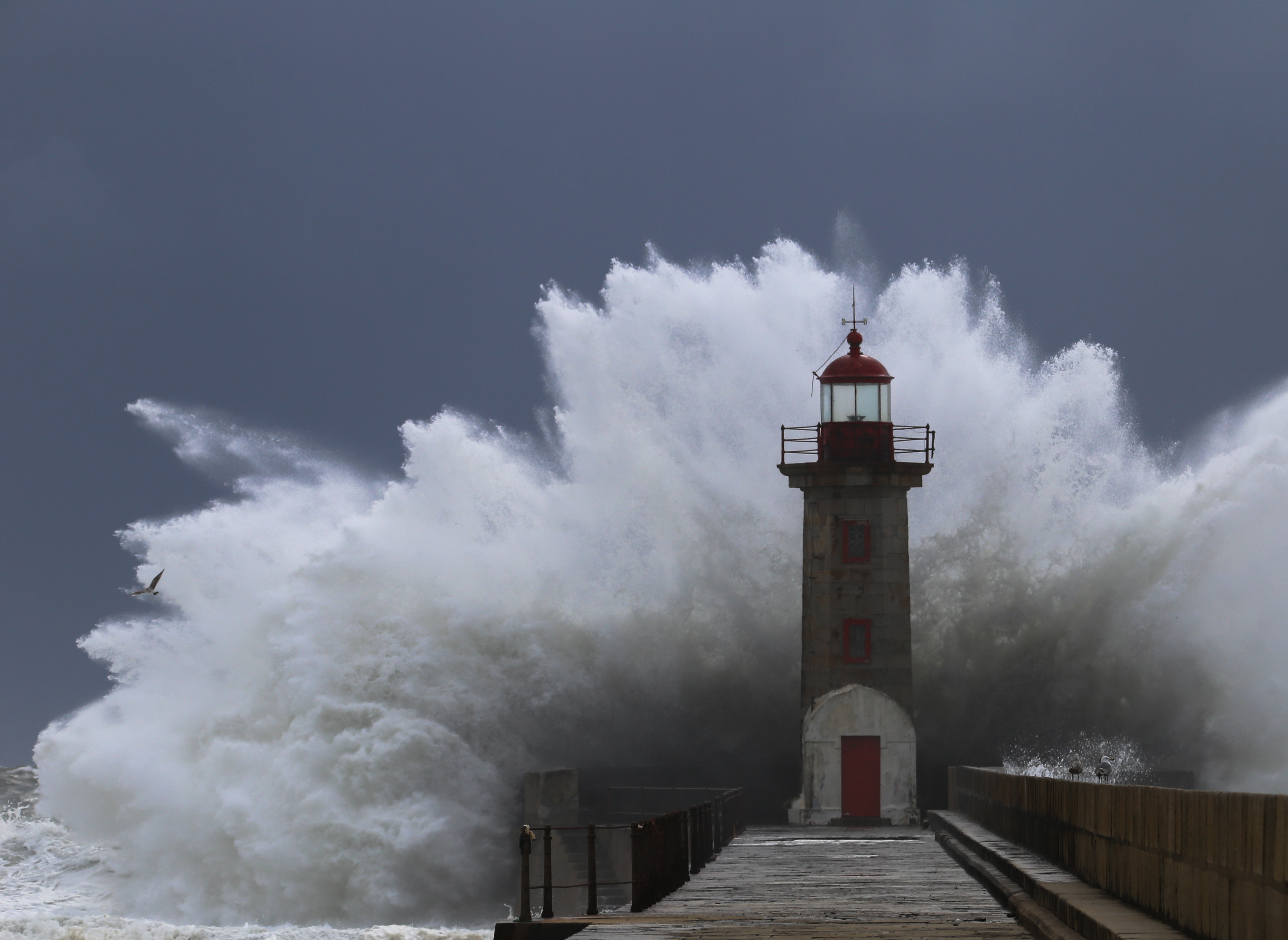 business-interruption